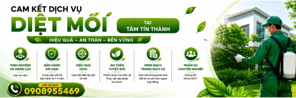 Dịch Vụ Diệt Mối Tận Gốc