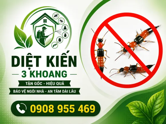 Dịch Vụ Diệt Kiến Tận Gốc | Báo Giá Diệt Kiến Tâm Tín Thành