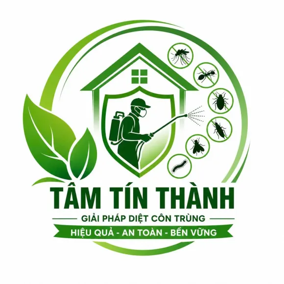 Danh mục video